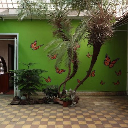 Casa Mayela Guest House San José Exteriér fotografie